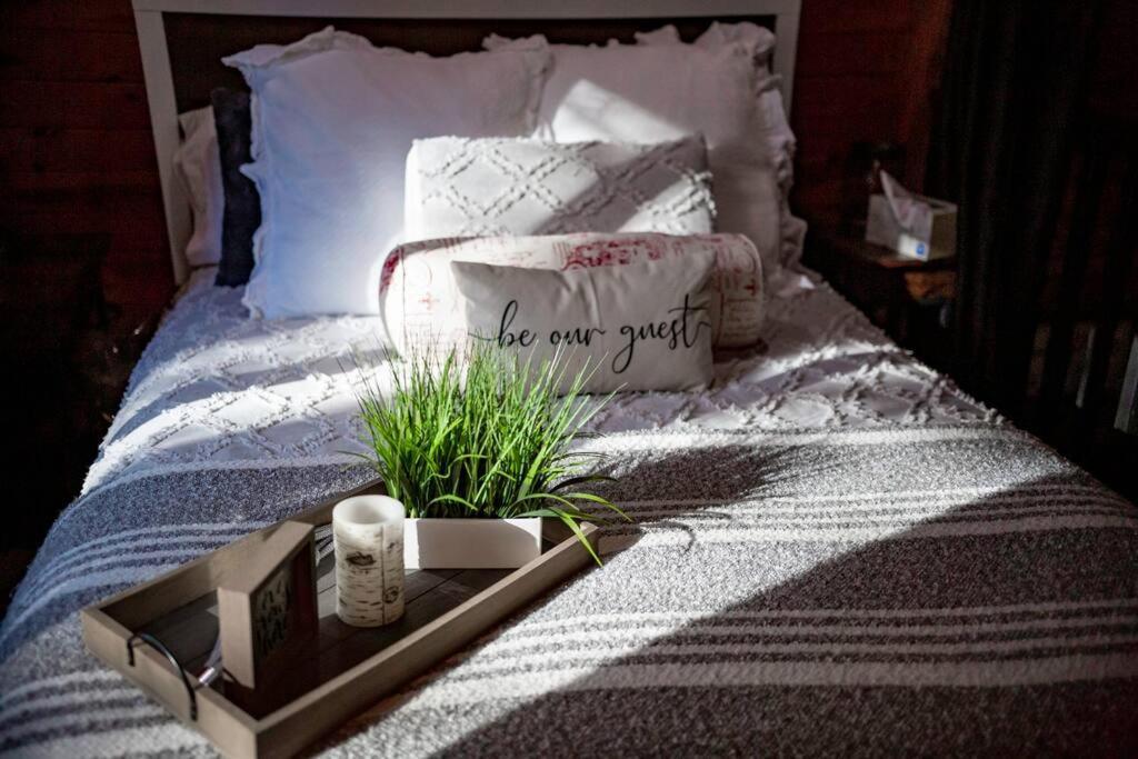 Grand Canyon Cabin! One Hour And 10 Minutes To The South Entrance! Williams Exteriér fotografie