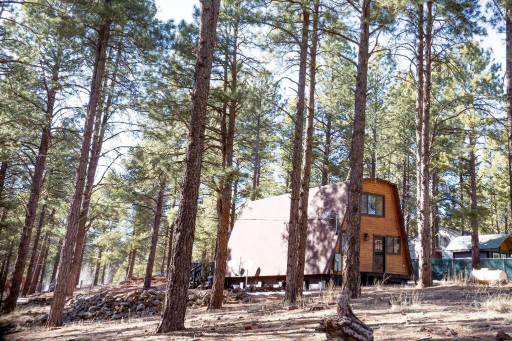 Grand Canyon Cabin! One Hour And 10 Minutes To The South Entrance! Williams Exteriér fotografie
