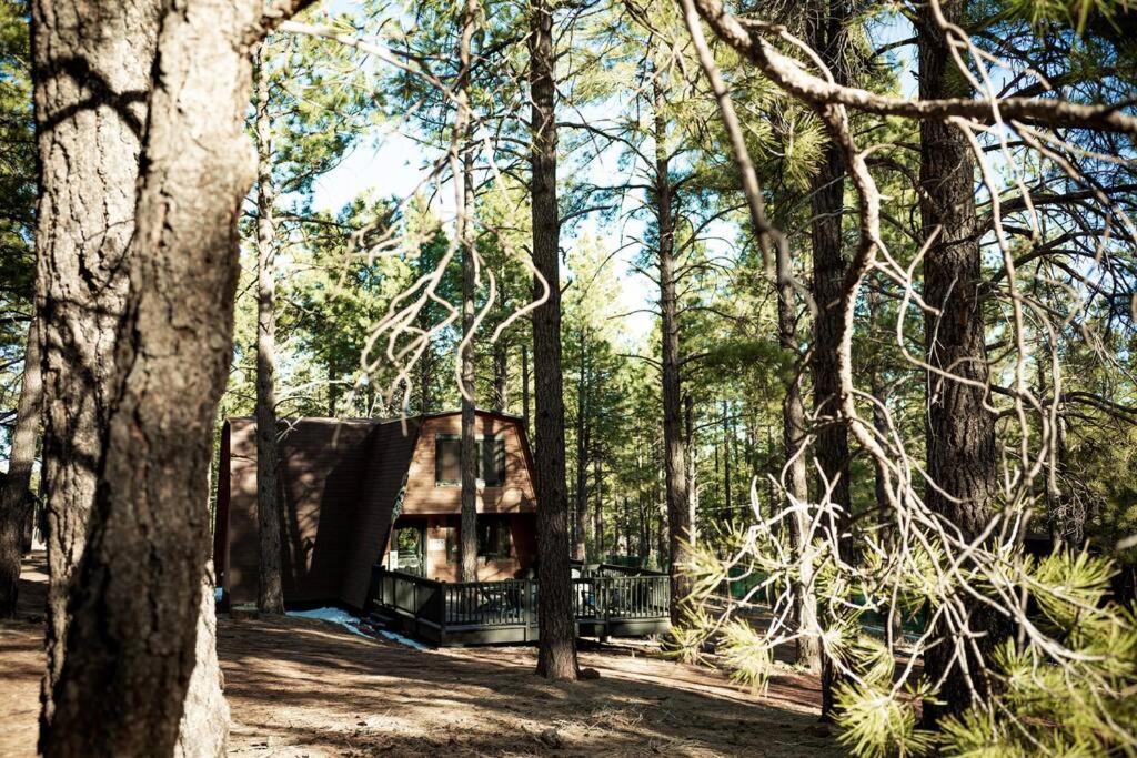 Grand Canyon Cabin! One Hour And 10 Minutes To The South Entrance! Williams Exteriér fotografie