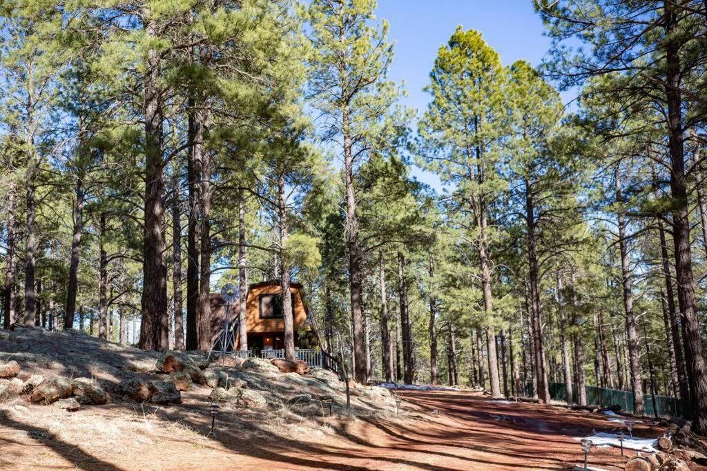 Grand Canyon Cabin! One Hour And 10 Minutes To The South Entrance! Williams Exteriér fotografie