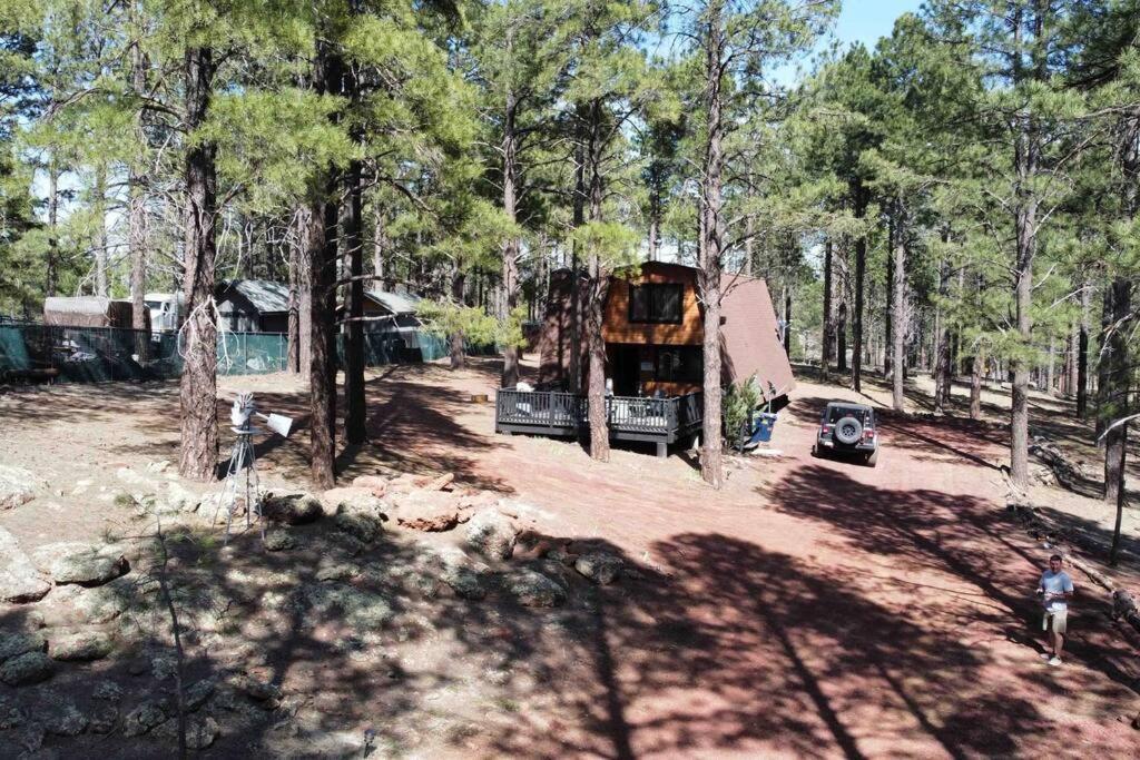 Grand Canyon Cabin! One Hour And 10 Minutes To The South Entrance! Williams Exteriér fotografie