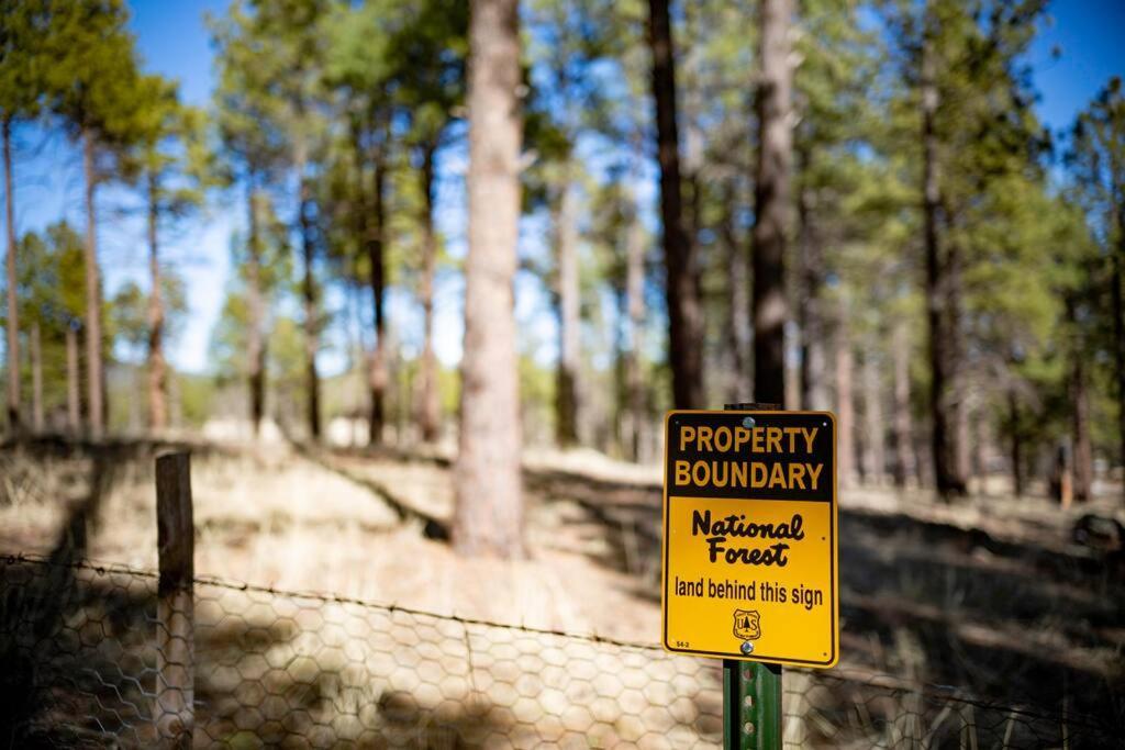 Grand Canyon Cabin! One Hour And 10 Minutes To The South Entrance! Williams Exteriér fotografie